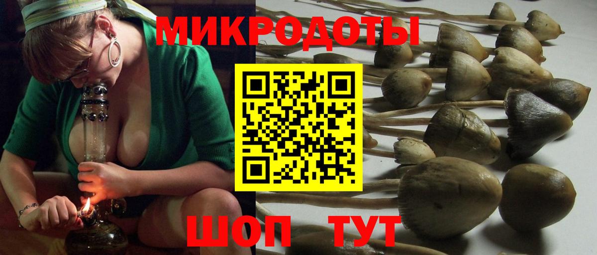 Псилоцибиновые грибы Cubensis  Вход с VPN  Сергиев Посад 